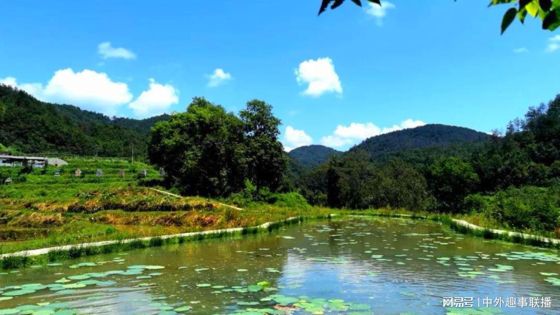 稍早前种草推广个性化优化您的创作流程,高效触达目标用户,全网最低价ks业务平台是真的吗：云服务市场中真假之谜新视角