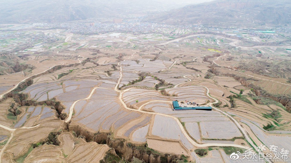 24小时在线接单网站