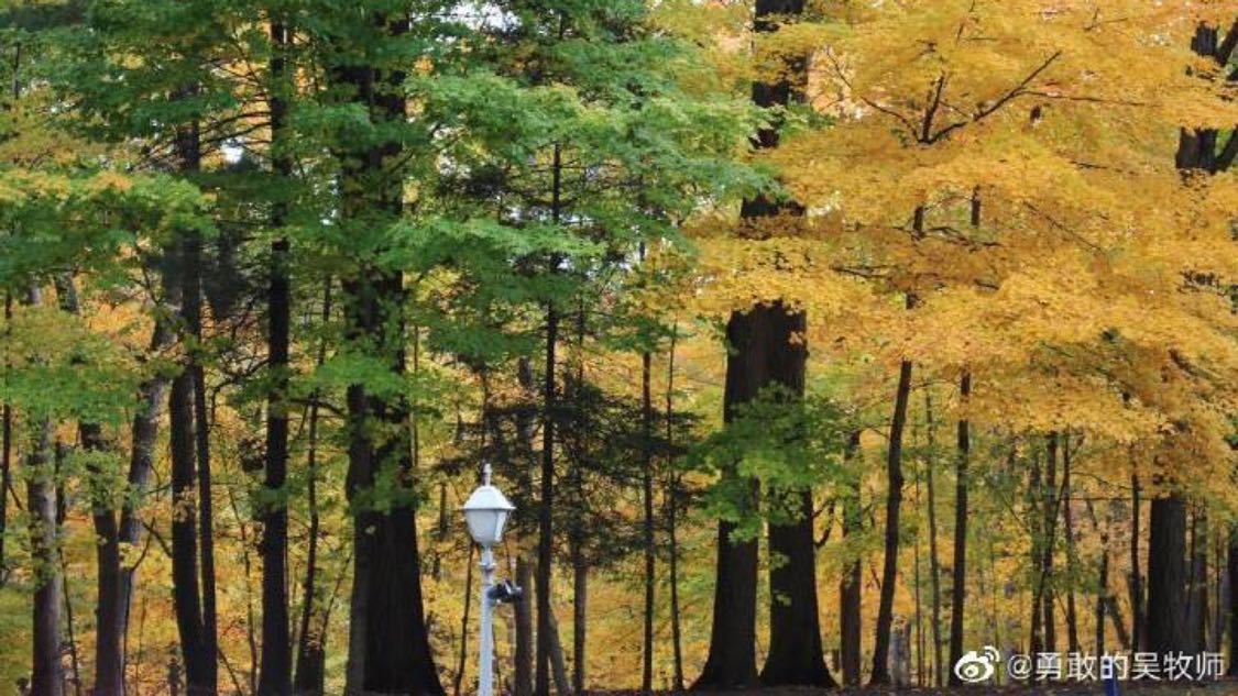 qq主页点赞自助平台下单网站